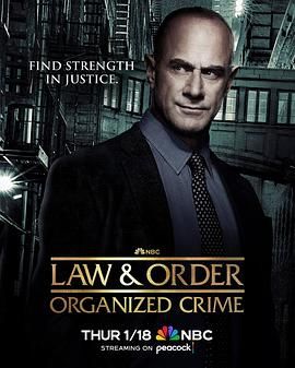 法律与秩序：组织犯罪 第四季第7集