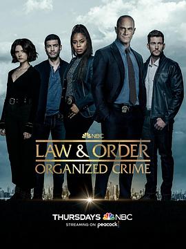 法律与秩序：组织犯罪 第三季第16集
