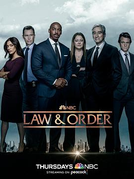 法律与秩序 第二十二季第16集