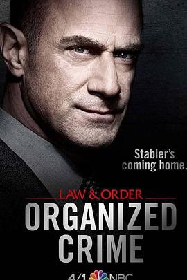 法律与秩序：组织犯罪 第一季第08集(大结局)