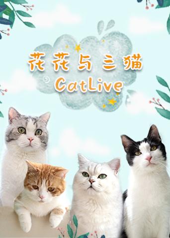 花花与三猫catlive20190924期