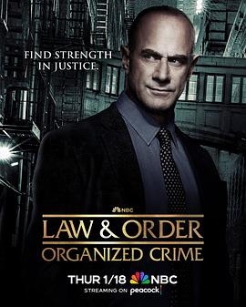 法律与秩序：组织犯罪第四季第08集