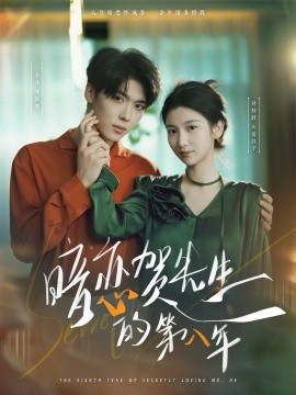 暗恋贺先生的第八年(全集)