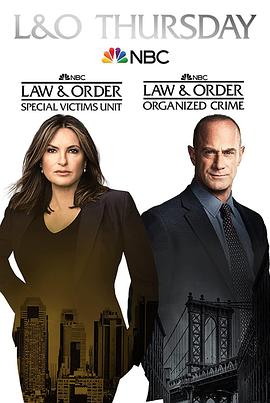 法律与秩序：特殊受害者第二十四季第18集